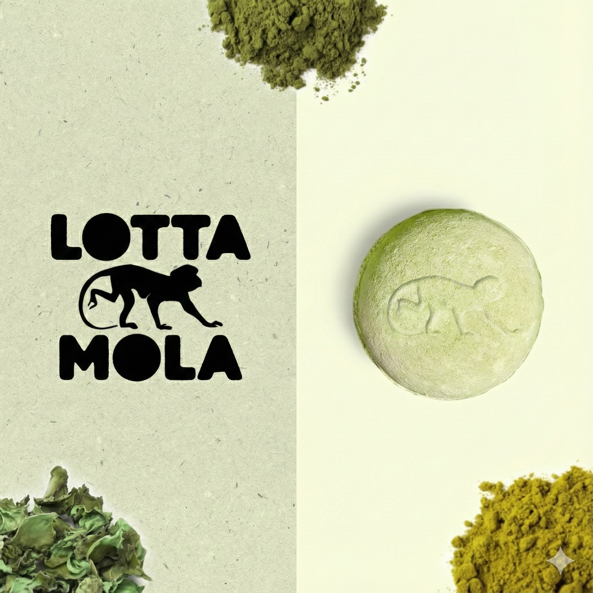 Lotta Mola
